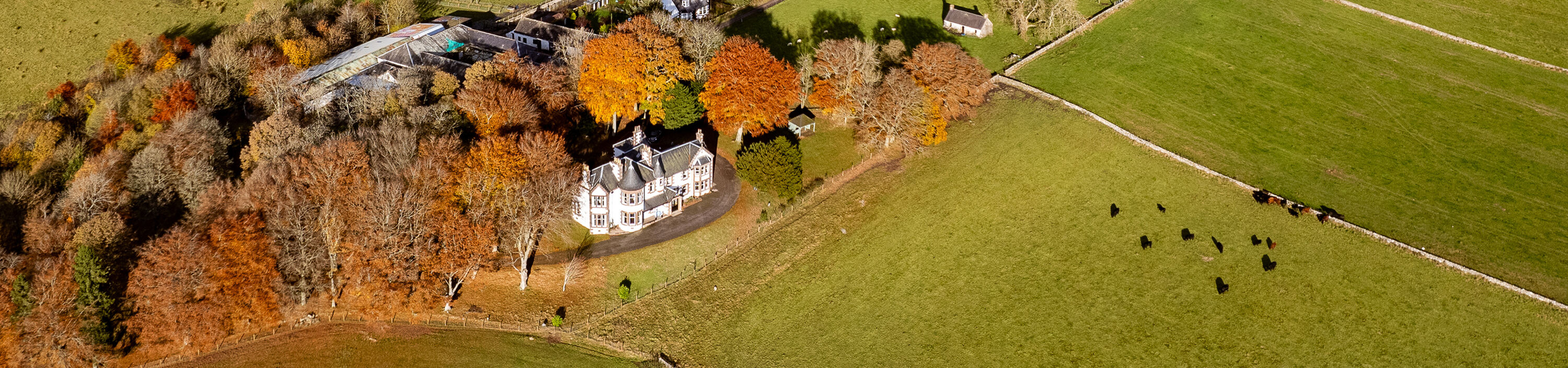 Kinclune Estate aerial autumnal view